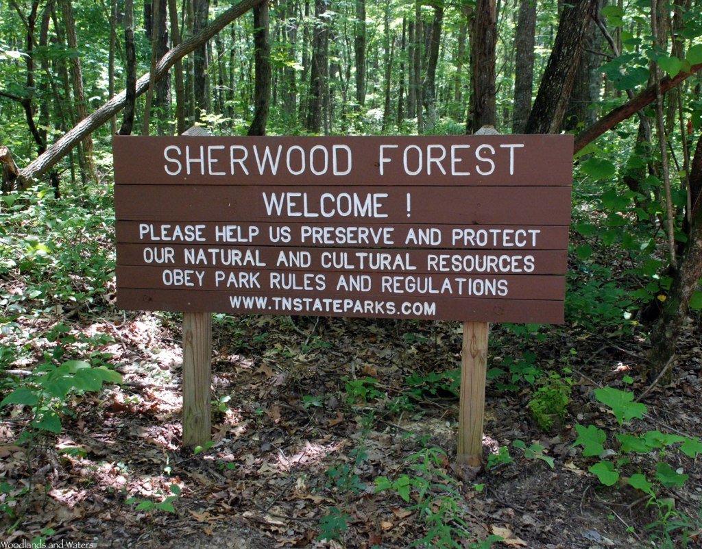Sherwood Forest, TN - Take a Bow: Sherwood Day Loop – Woodlands and Waters